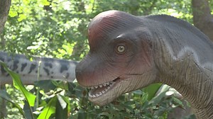Dinosaur exhibit to be featured at Riverbanks Zoo