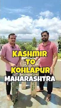 Bandook upper blade & Sultan Ultra Burn Edition unboxing | Best Hard Tennis Bat for Hitting