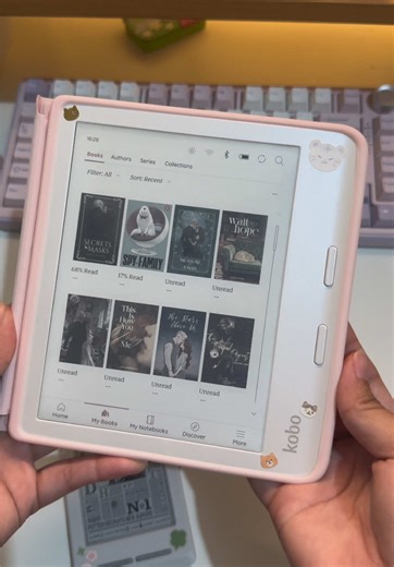 Kobo Ereader Case Decoration Tips and Ideas