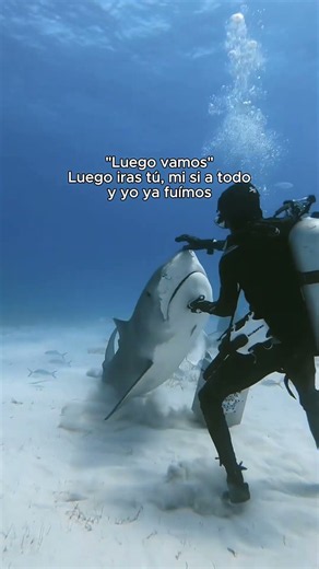 Tu grupo dijo “queremos hacer algo diferente”… #Yatezzitos #RentaDeYates #Yates