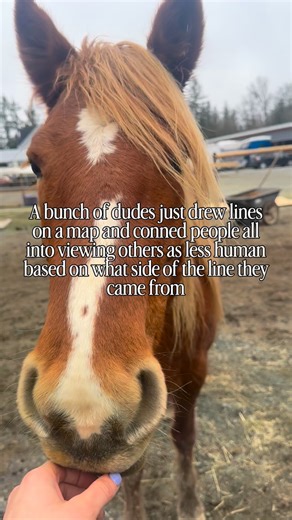 Borders are made up. Human beings are real. Migration has been a normal behaviour for an abundance of species since the dawn of time. If you’ve successfully been conditioned to hate someone simply because of where they came from, regardless of the content of their character, it’s time to ask yourself who it benefits for you to feel that way. There is so much talk and discourse about illegal immigration, and meanwhile, the billionaire corporations that often rely on the underpaid labour of immigr