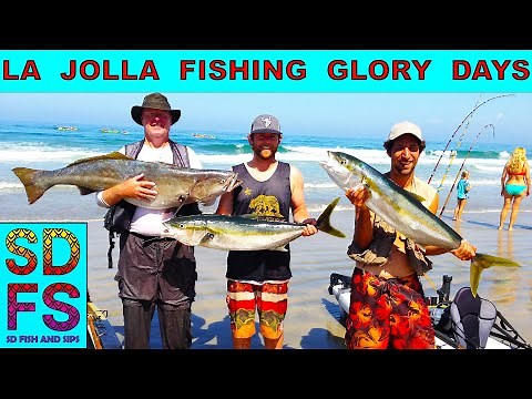 How I Learn to Catch Yellowtail in La Jolla - San Diego Kayak Fishing with Live Bait