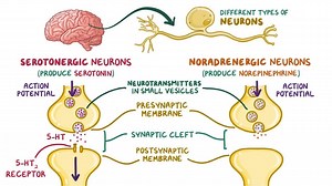 Video: Tricyclic antidepressants - Video Explanation! | Osmosis | Osmosis