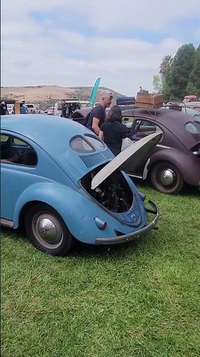 Is there enough Rare Split Window VW Beetles in this Short?