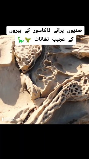صدیوں پرانے ڈائناسور کے پیروں کے عجیب نشانات 🦖🦕 #dinasour #footprints #dinosaur #dinosaurfossil #DidYouKnow #DiscoverPakistan #whattowatch #whotofollow