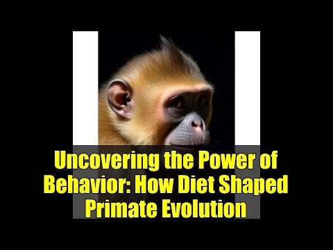 Uncovering the Power of Behavior: How Diet Shaped Primate Evolution