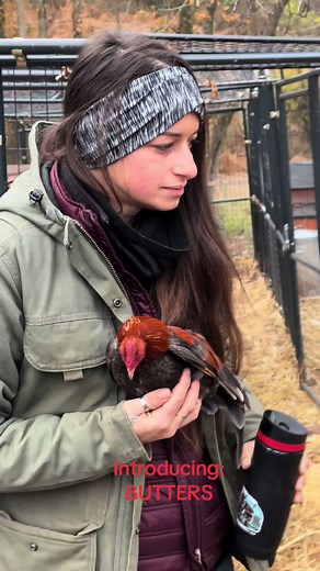 RebeccaYoder5 (@rebeccacoveryoder)’s videos with original sound - RebeccaYoder5