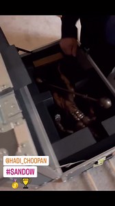 2.1M views · 47K reactions | Hadi Choopan bringing the Sandow Trophy Home | Nick's Strength and Power | Facebook