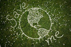 37 Sustainable Construction and Building Materials | Building Materials Online