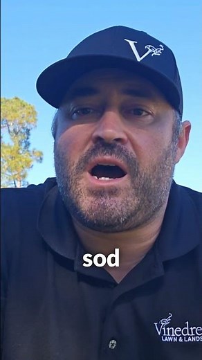 Maintaining Fall Installed Sod | Smart Watering Tips for Success