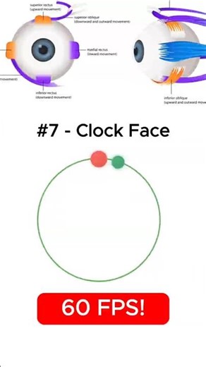 Clock Face Track - High FPS Eye Training (v-3 #7)