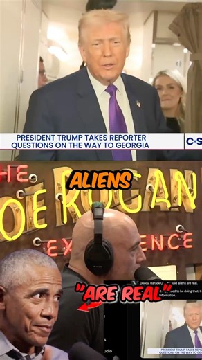 Joe Rogan Reacts To Alien Talk #shorts