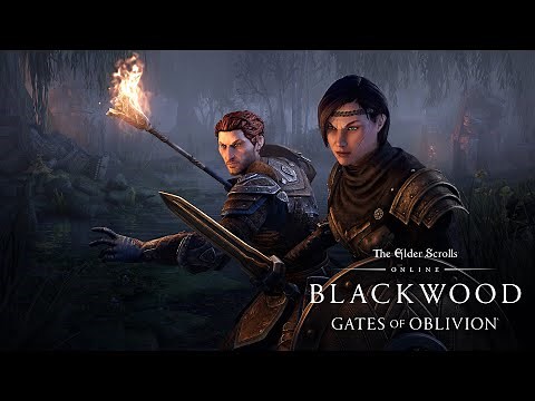 The Elder Scrolls Online: Introducing Companions