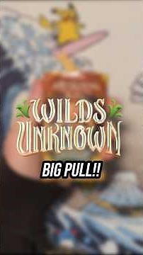 Disney Lorcana WIlds Unknown - Illumineers Trove Pack (BEST PULL)