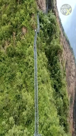 How Do These Villagers Climb the Mountain? 2556 steps of ladder are built along the cliff for villagers living atop the mountain in China's Sichuan Province. The trek commences in the village of Gongling. From there, hikers follow a winding path up the steep mountainside, ascending over 1,000 meters in elevation along the trail. The path comprises a series of narrow, steep steps interspersed with metal chains and ladders, which hikers must utilize to navigate the rocky terrain. | MiloPax