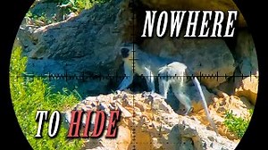 INCREDIBLE Monkey & Baboon Hunting Footage: 75 SHOTS in 4K (Primate Hunting Compilation, Volume 2)