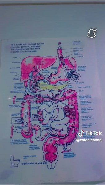 Colonic-By-Naj on TikTok