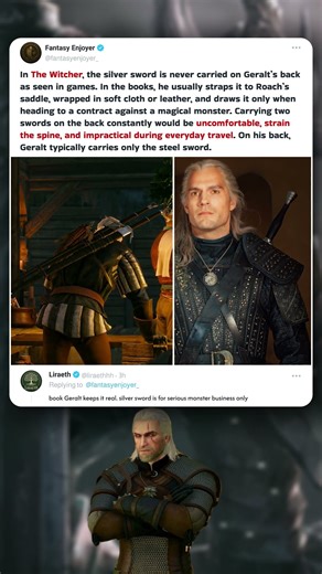 Why Geralt Doesn’t Carry Silver on His Back ⚔️🐴 #TheWitcher #BookLore #fantasy