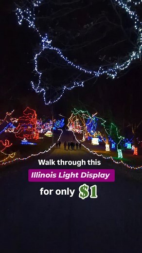 4.7K views · 1.2K reactions | 4 million lights!!!  ⠀ ✨Each year the...