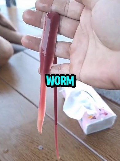 If You See This Tiny Ribbon Worm, Don’t Touch It ❤️
