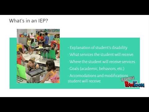 What is an IEP?