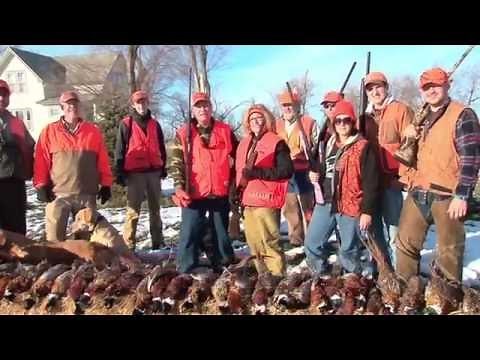 Pheasant Hunting In Huron, South Dakota