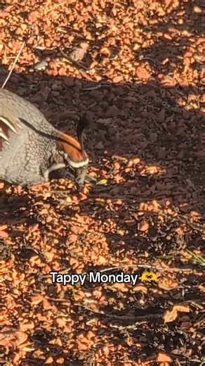 Happy Monday!. #TapNation #RegulationStation #EFTTapping #thetappingpoint #thetappingpoint