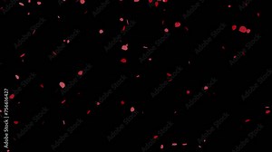 rose flower petals falling animation with transparent background