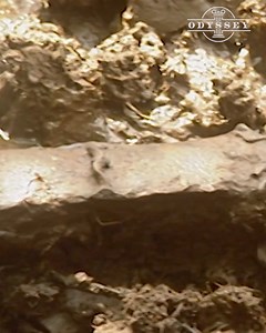 374K views · 4.7K reactions | Time Team finds an iron aged sworn on their dig #archaeology | Odyssey - Ancient History | Facebook