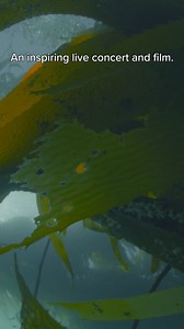 🎙️ Hear Renée Fleming’s Grammy Award-winning album, Voice of Nature: the Anthropocene on June 17 at Benaroya Hall. | Seattle Symphony