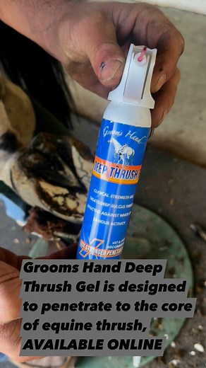 Deep sulcus thrush requires more than surface treatment. Groom’s Hand Deep Thrush Gel uses a synergistic formula and a penetrating straw to deliver powerful medication straight to the core.Now available online at Groomshand.com #equinewoundcareproducts #ThrushTreatment #HoofCare | Groom's Hand Animal Health