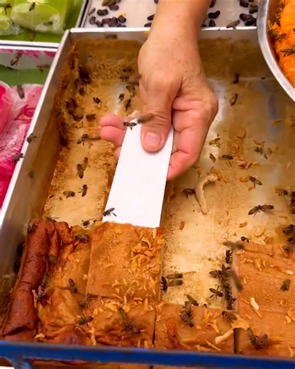 Anyone fancy a slide? 😳🐝 | Lessons Learned In Life