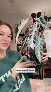 19K views · 367 reactions | Ever found mushrooms growing in your...