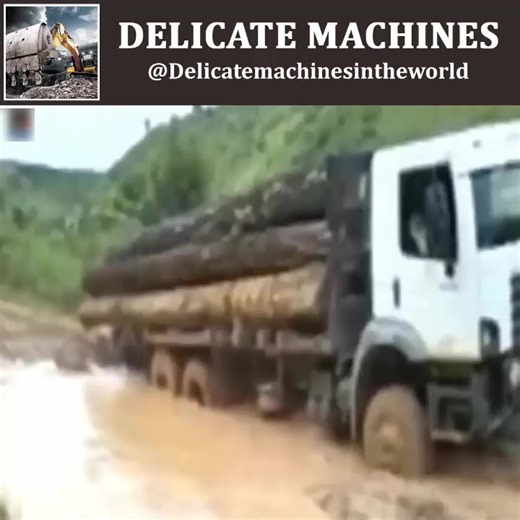 1.7K views | Extreme Trucker, Best Logging Truck Drivers Skill With Dangerous Extreme Fields Cr Delicate Machines | Battleborn Brotherhood | Facebook