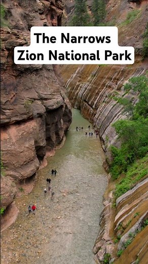 The Narrows: Zion National Park's Best Hike #hiking #nature #travel