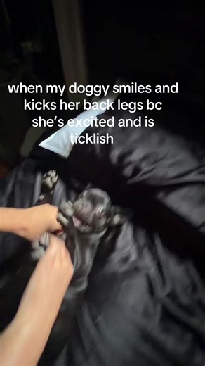 Morgan (@xo_.morgan)’s videos with awww so cute - Cherri ⁉️