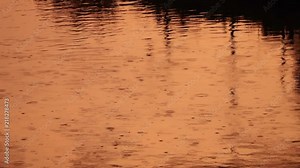 Rain drops fall on a golden water surface.