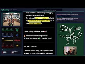 High Yield step 1 Prep walkthrough
