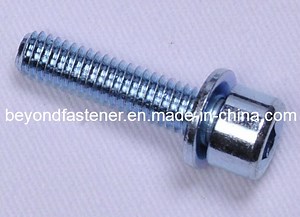 [Hot Item] Screw Sems Screw Bolts/Fastener/Terminal Cover Screw