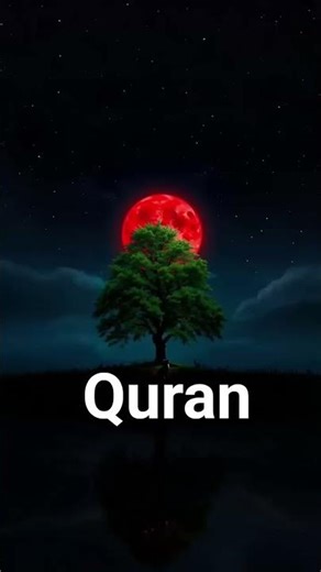 surah Nisa Quran urdu translation and definition #islamicvideo