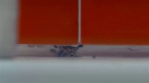 TERRO TV Spot, 'Ants Aren't Afraid of Sprays'