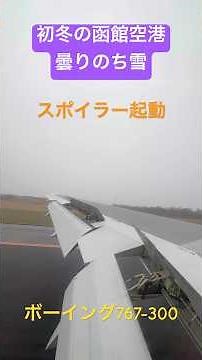 函館空港 飛行機 着陸