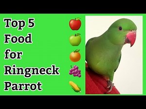 Top 5 Foods for Ringneck Parrot | Parrot Eating Food| Fruits #parrots