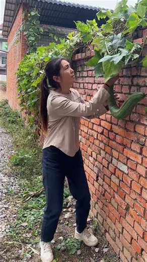 시골의 재밌는 영상이 매일 당신을 행복하게 합니😋❤️🤣 #시골 웃긴 영상 #웃긴영상 #재미있는