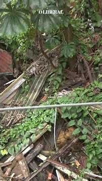 Self-employed Paulo Brasil denounces problems with garbage and lack of paved roads on TV. Doctor ...