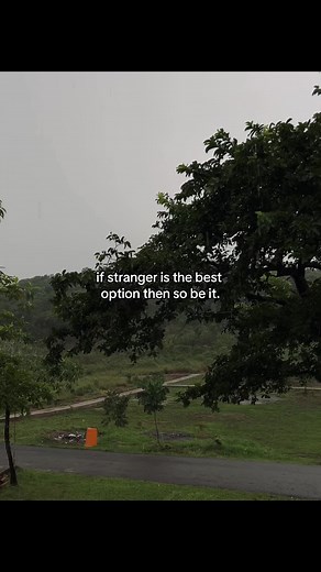 If Stranger Is the Best Option: An Insightful Perspective