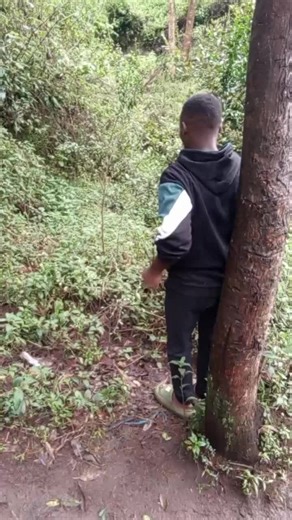 McFelix Comedy Performance Highlights