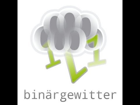 Binärgewitter Talk #379: Don't drink and Debug