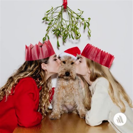 Mistletoe is often brought into homes during the holiday season. Clinical signs of ingestion of Phoradendron flavescens include vomiting, profuse diarrhea, dilated pupils, rapid labored breathing, shock, and death from cardiovascular collapse within hours of ingesting a toxic dose. Learn more: https://mrkmnls.co/3XRsoX6 | The Merck Veterinary Manual