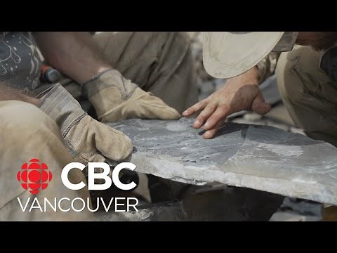 In search of 500-million-year-old fossils of marine life